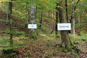 Lela B. Njatin. Ker mi nismo le podobe, smo ljudje. 2005–2020
