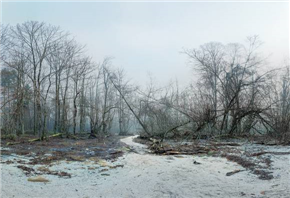 Mare Mutić - začasno zaprto