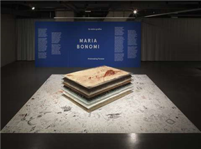 Maria Bonomi: Za vedno grafika