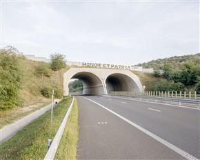 Marina Caneve / Na tla med živali