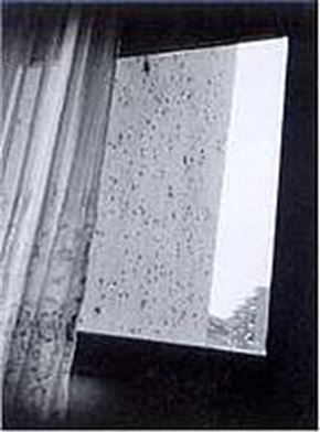 Masaki Hirano, Fotografije