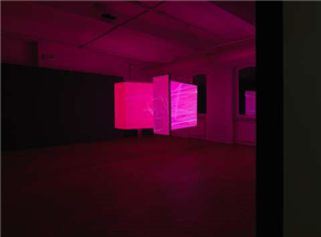 Matthew Biederman & Pierce Warnecke