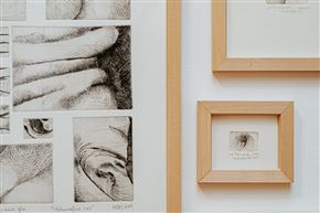 MON: METAMORFOZE
