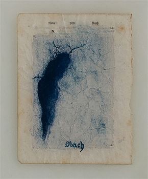 Natalija Šeruga, Orpiment