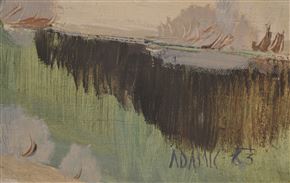 Peter Adamič - Brez naslova