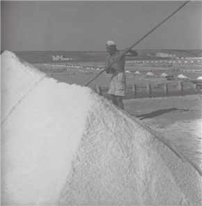Poletna fotografija