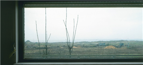 Predstavitev / Ponazoritev