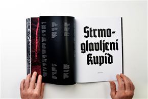 Prodajna razstava / REBUS