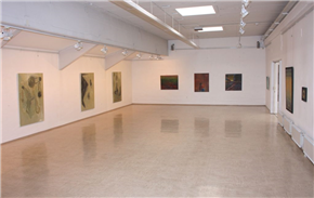 Razstava članov DLUPP 2014