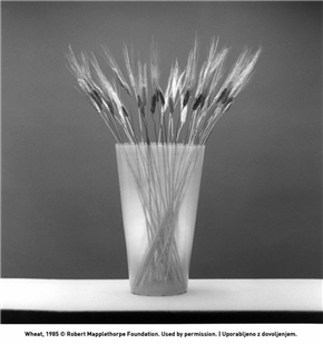 Robert Mapplethorpe
