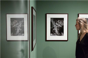 Sebastiao Salgado: Geneza