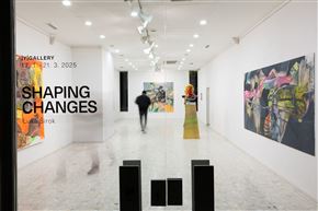 SHAPING CHANGES