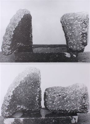 Silvije Arc Popovič. Skulpture in objekti