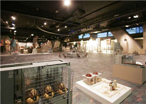 Stane Jagodič: Zoo Poetika (1963–2008)