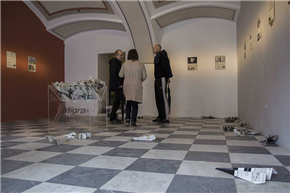 Studio 110: Projekt Migracije