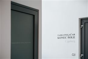 TADEJ POGAČAR: KONEC ŠOLE