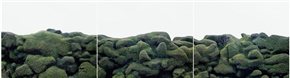 Tamas Dezsö / Hipoteza: vse je listje