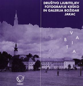 Več avtorjev - Kostanjevica v objektivu