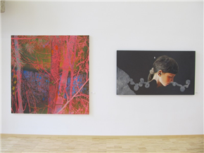 Vizualna umetnost v Šaleški in Zgornji Savinjski dolini od 1975 do 2015