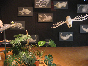 Vladimir Leben in Damijan Kracina: GALAPAGOS