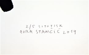Zora Stančič - Brez naslova